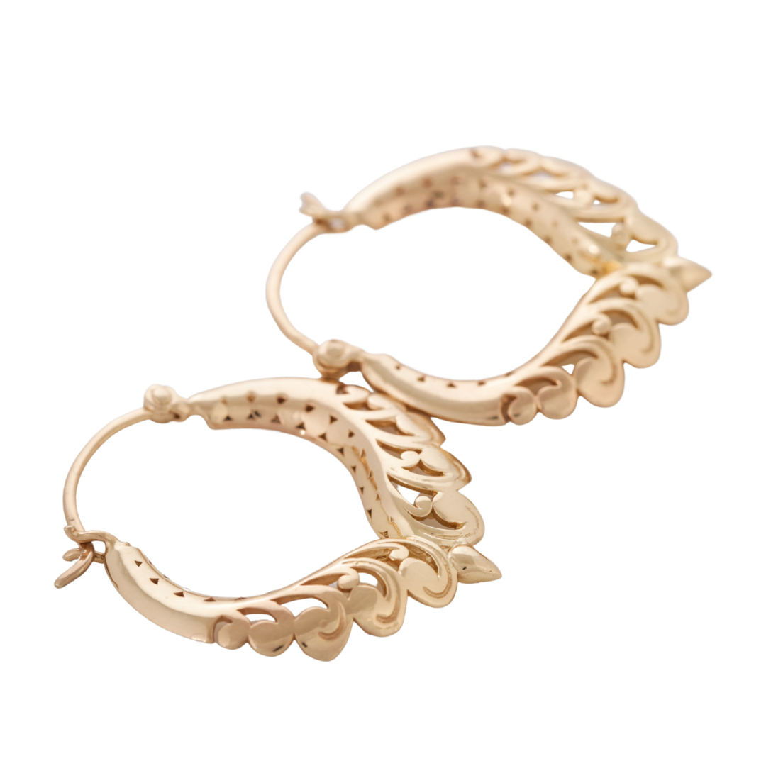 Golden Embrace Earrings